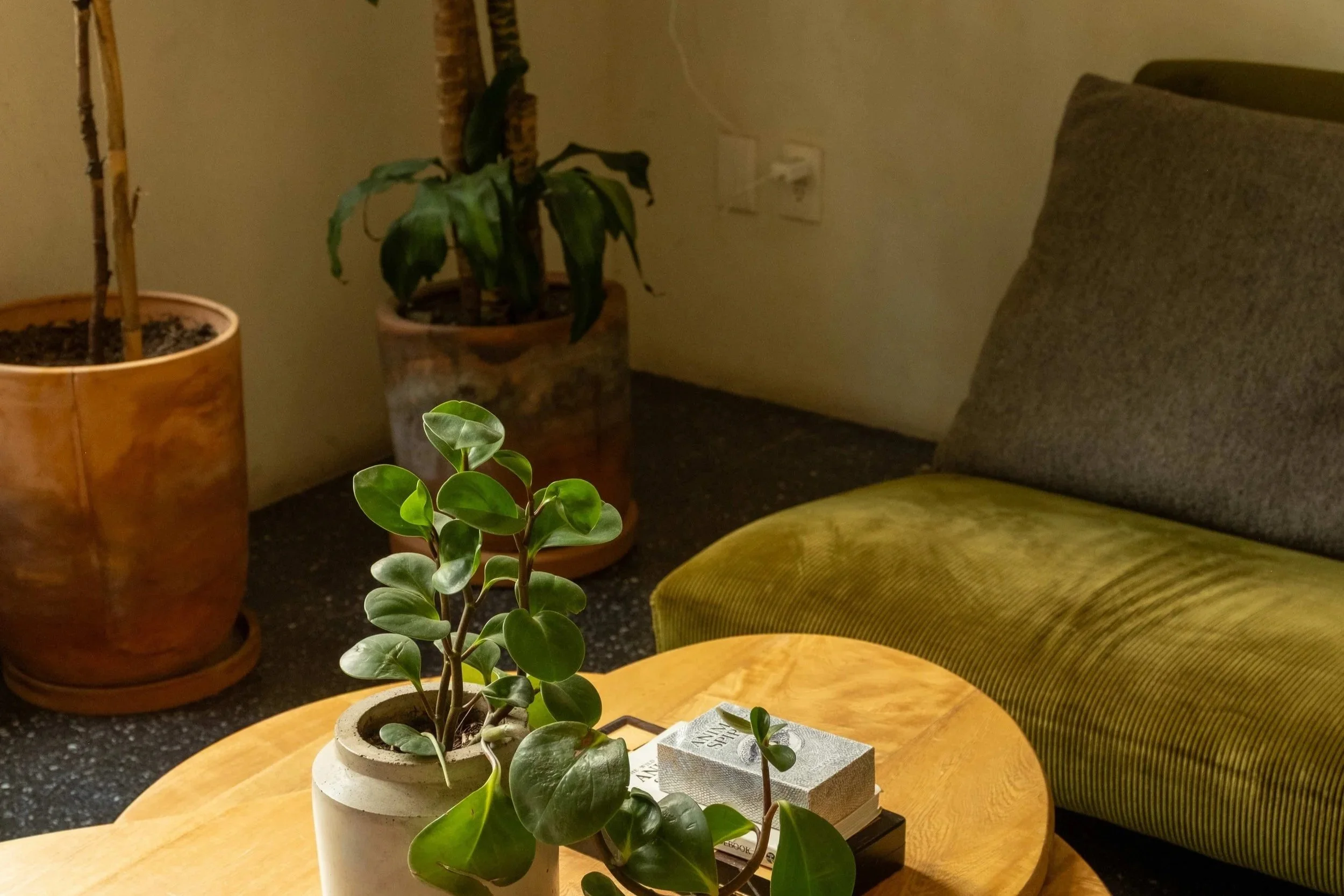Roma Norte treatment room